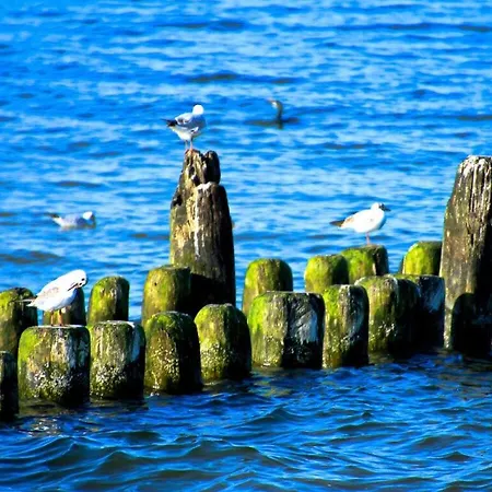 Dream Comfortable Zinnowitz