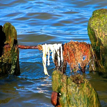 Dream Comfortable Ferienhaus Zinnowitz